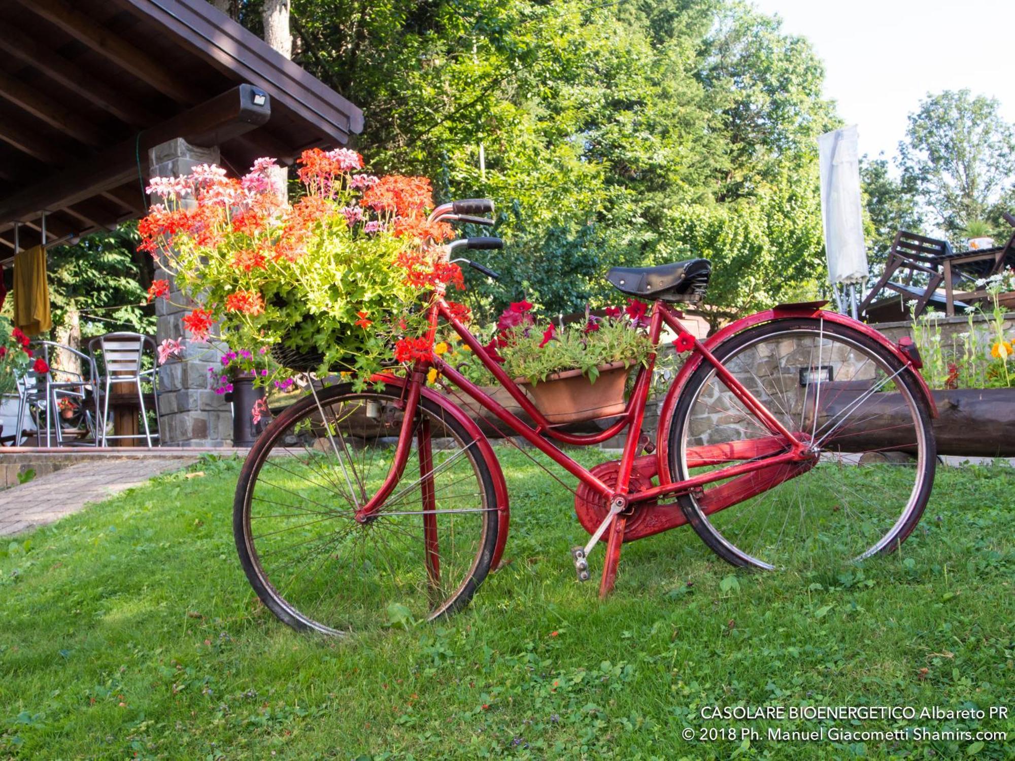 Bed and Breakfast Il Casolare Bioenergetico Albareto  Экстерьер фото